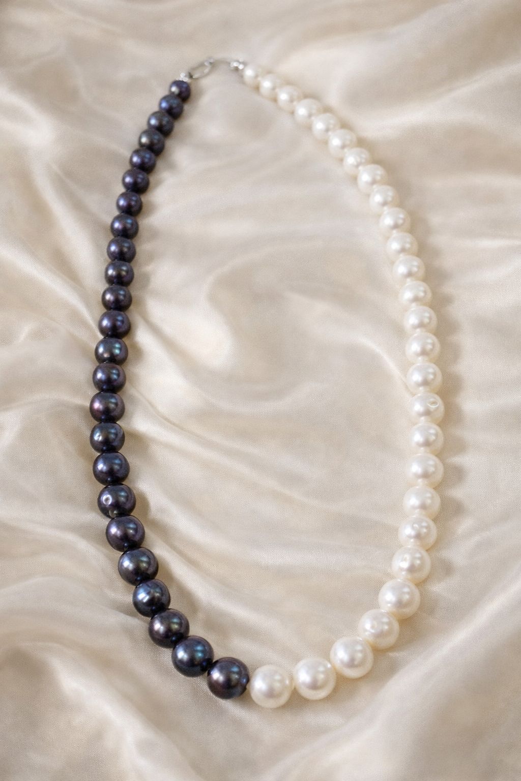 WhatsApp Image 2026-01-03 at 12.55.07 PM