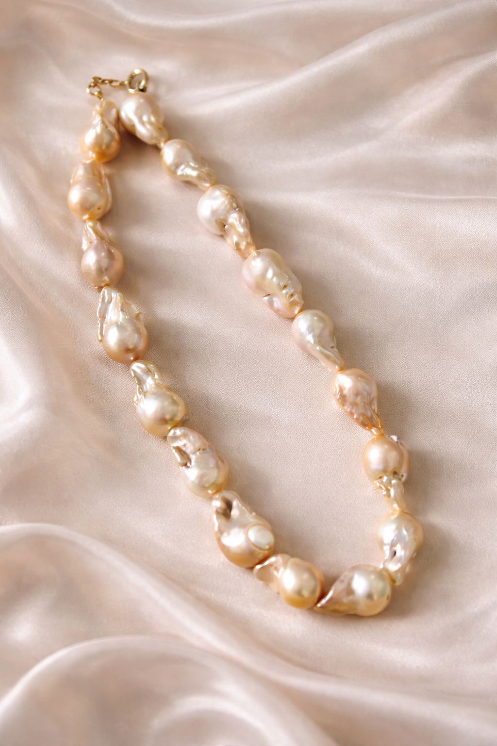 WhatsApp Image 2026-01-03 at 2.03.46 PM