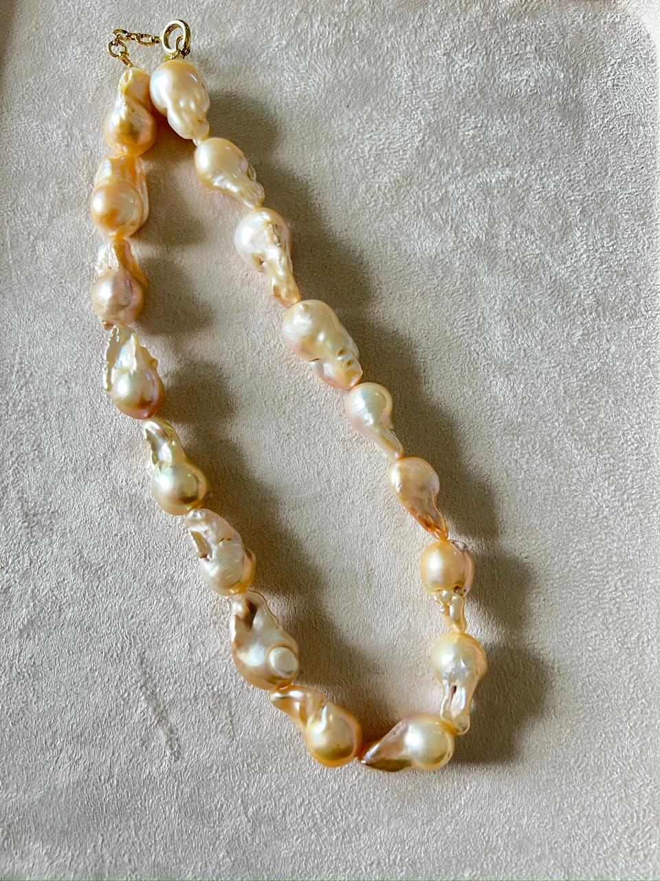 WhatsApp Image 2026-01-03 at 2.03.47 PM