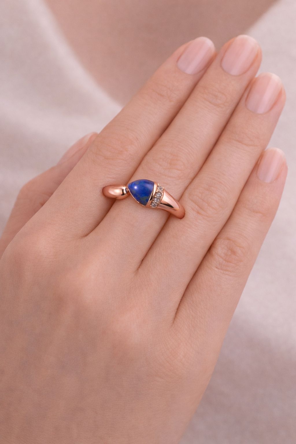 WhatsApp Image 2026-01-17 at 1.41.26 PM (1)